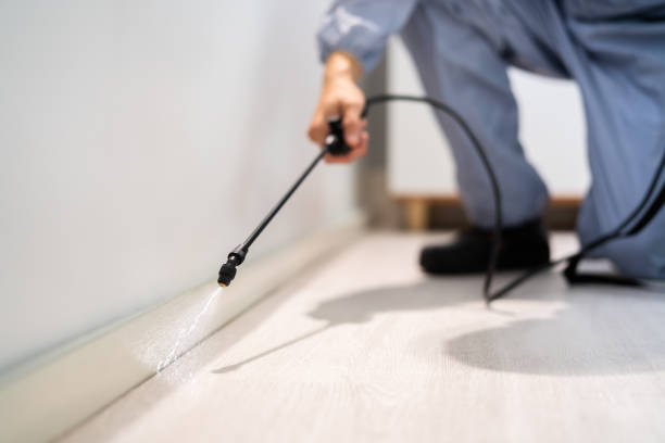 Licensed Mosquito Control service in Monona, WI - Show Me Pest Control