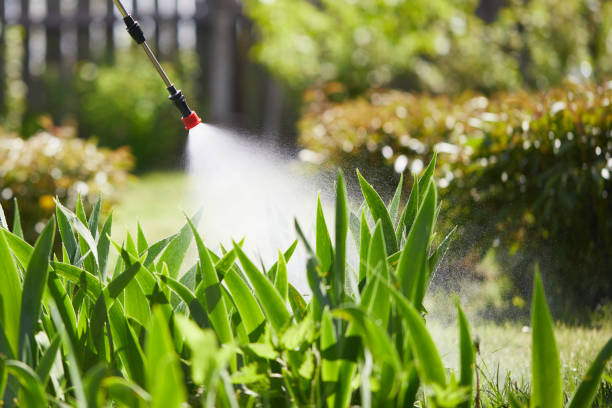 24/7 Emergency Mosquito Control experts in Monona, WI